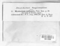 Image Associated With the Occurence
